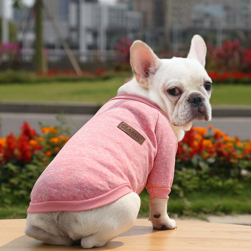 Fall Winter New Style Sweater Two-Legged Clothes Dog Supplies