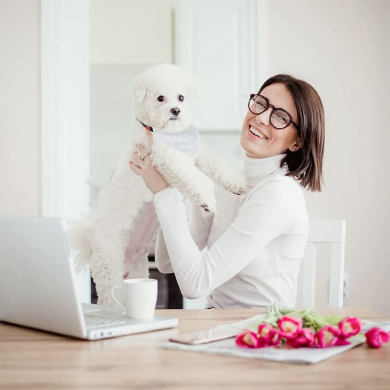 Fashion Adjustable Personalized Thermal Transfer Dog Scarf