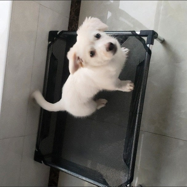 Elevated Pet Bed for Small and Medium Dogs