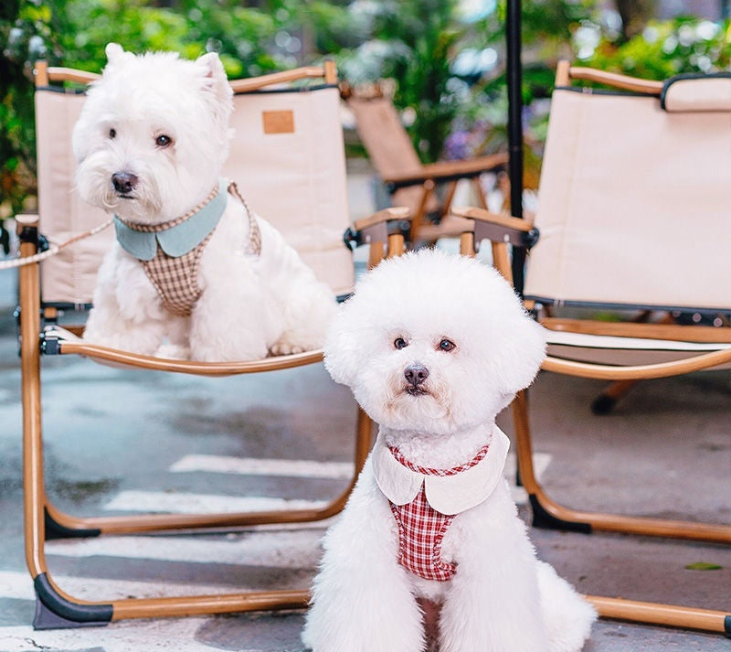 Fashion Small Dog Harness Vest