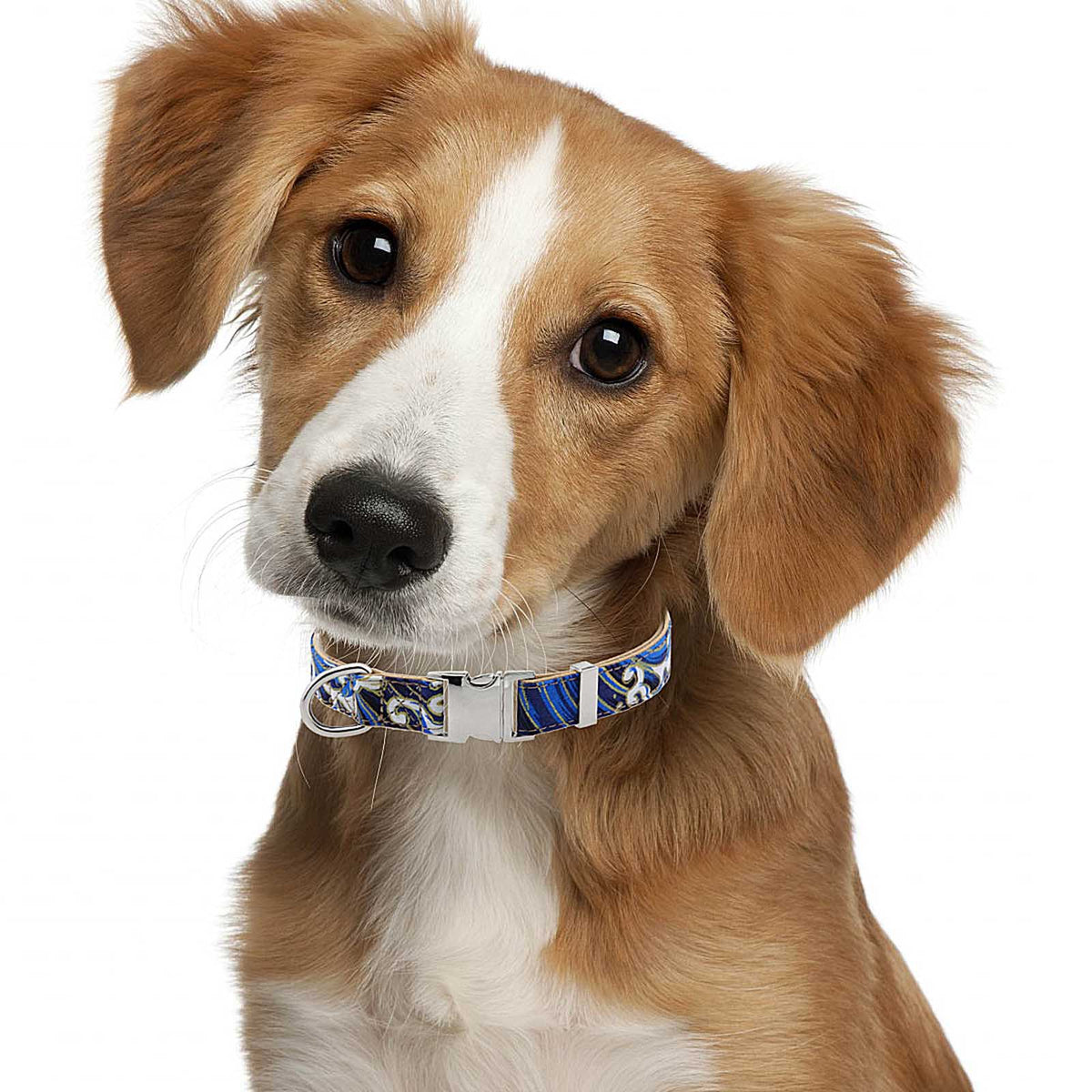 Popular Flower Decorative Pet Collar
