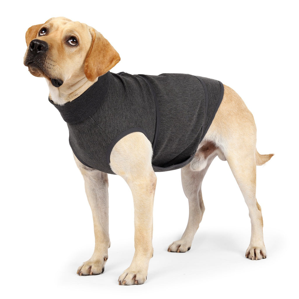 Dark Grey Polyester Pet Double Jacket