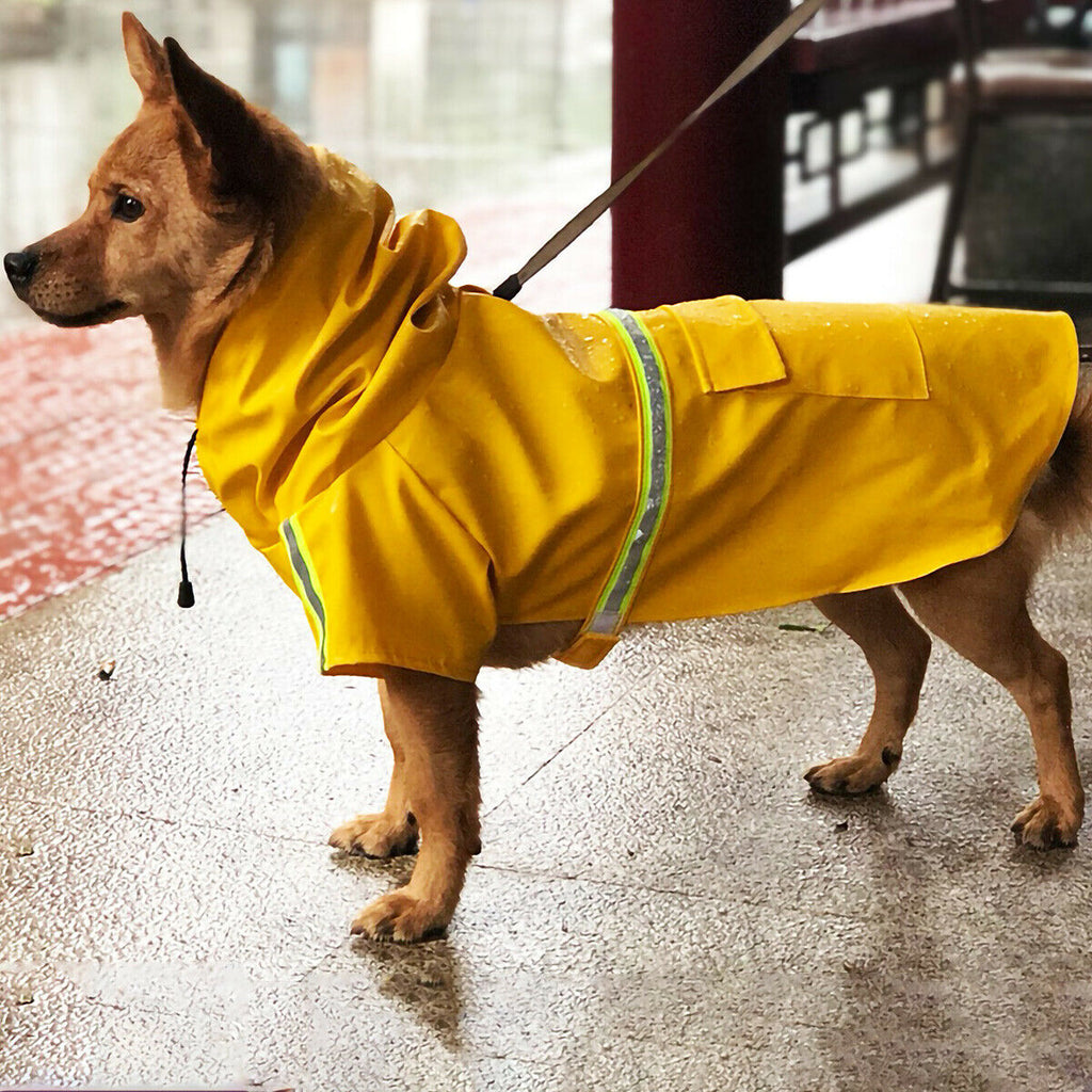 Waterproof Hooded Dog Raincoat With Leash
