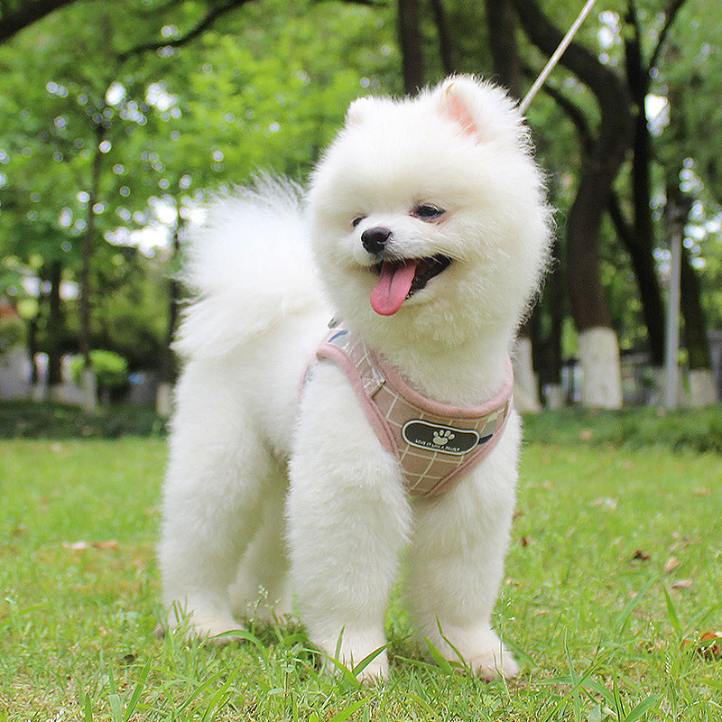 Reflective Dog Leash for Night Walks