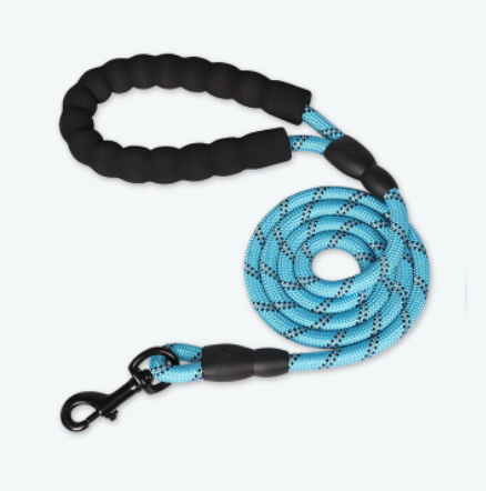 Reflective Nylon Dog Leash