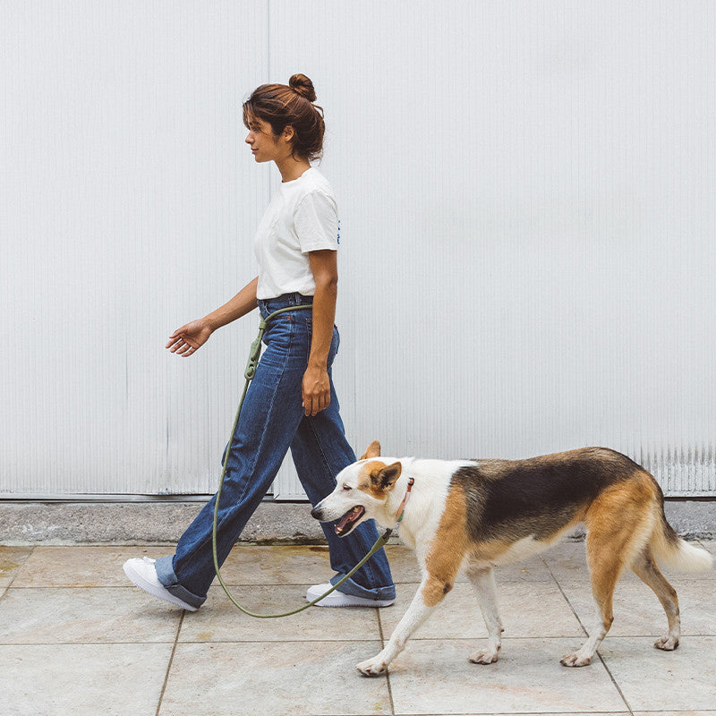 Minimalist Crossbody Dog Leash