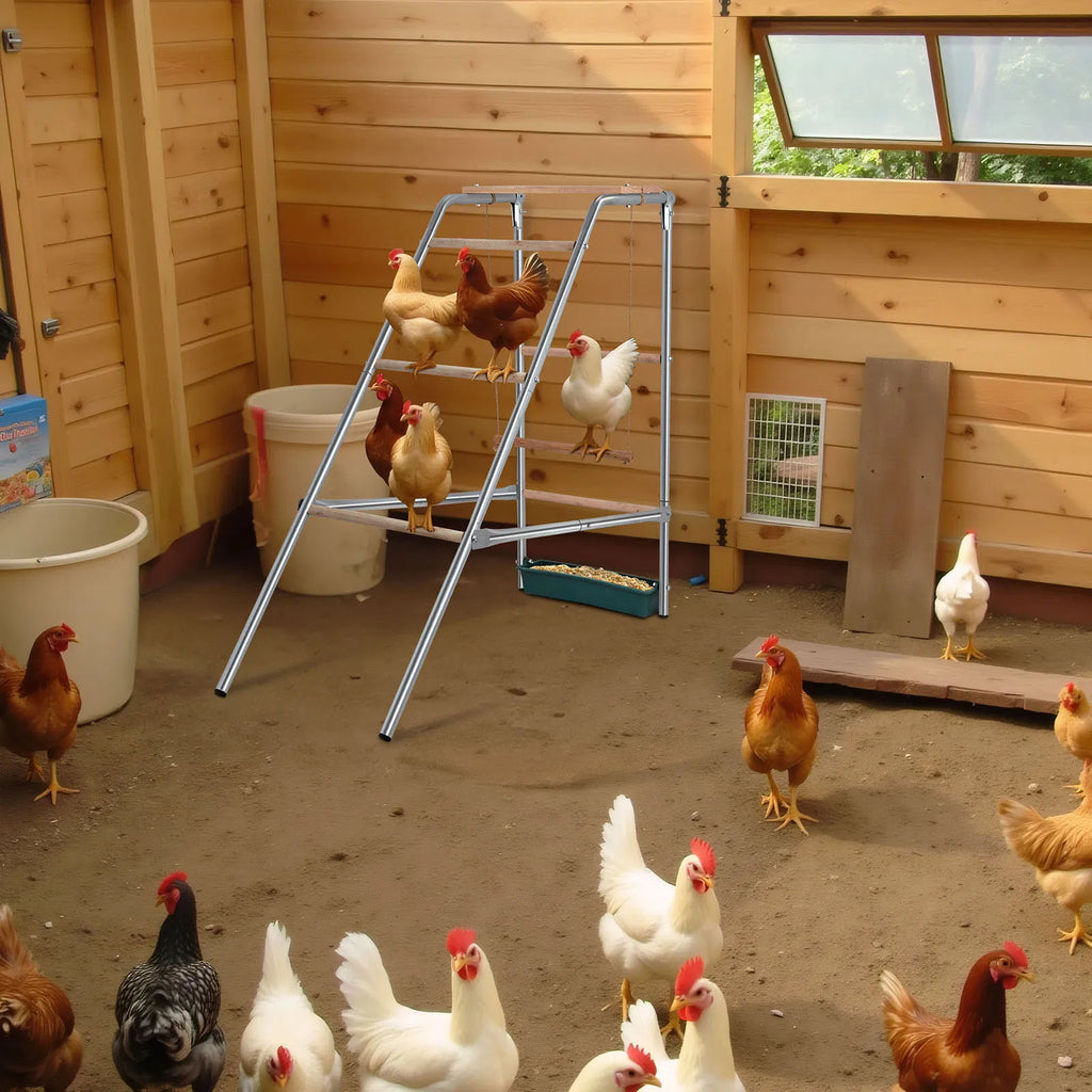 103*50*100Cm Outdoor Chicken Perch