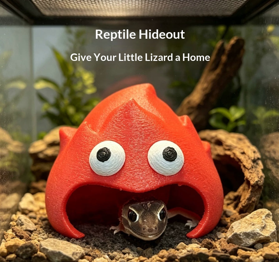 Wind And Fire Leopard Gecko Hideout