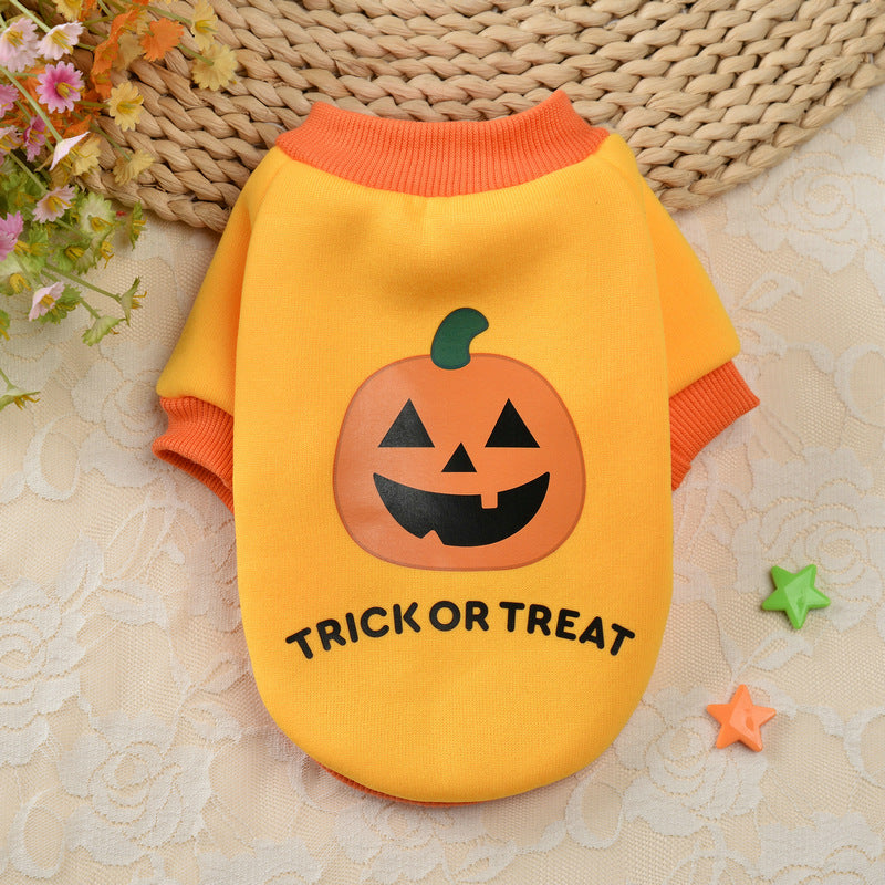 Halloween Pumpkin Skull Small Dog Sweater