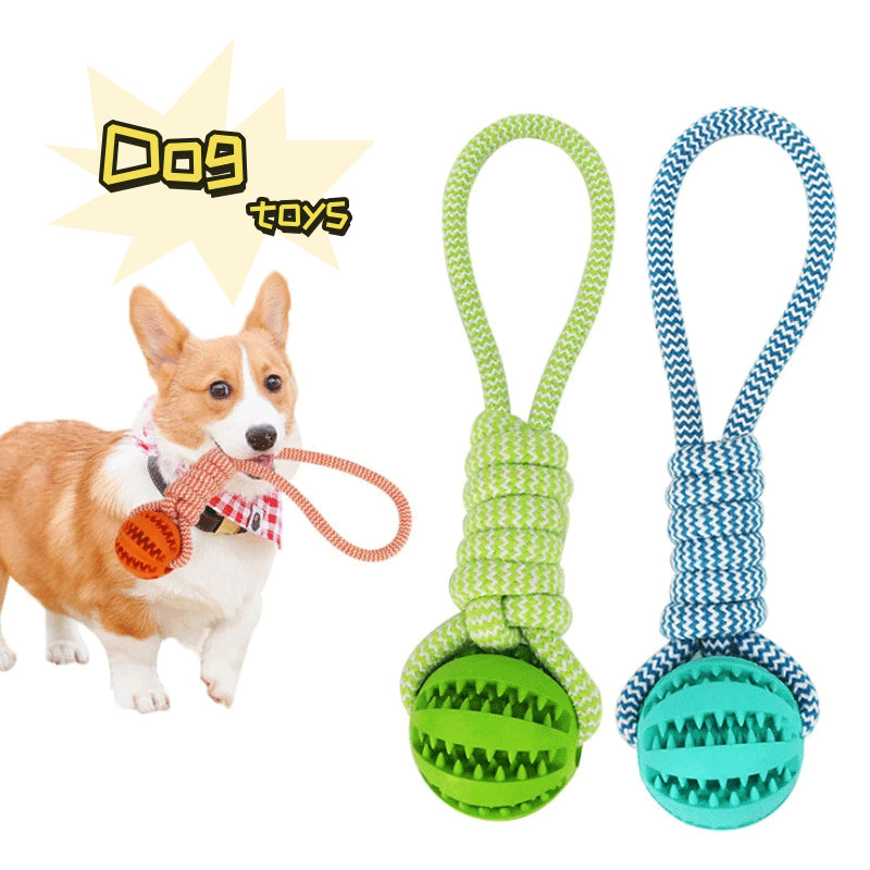 Interactive Rubber Rope Chew Toy Ball