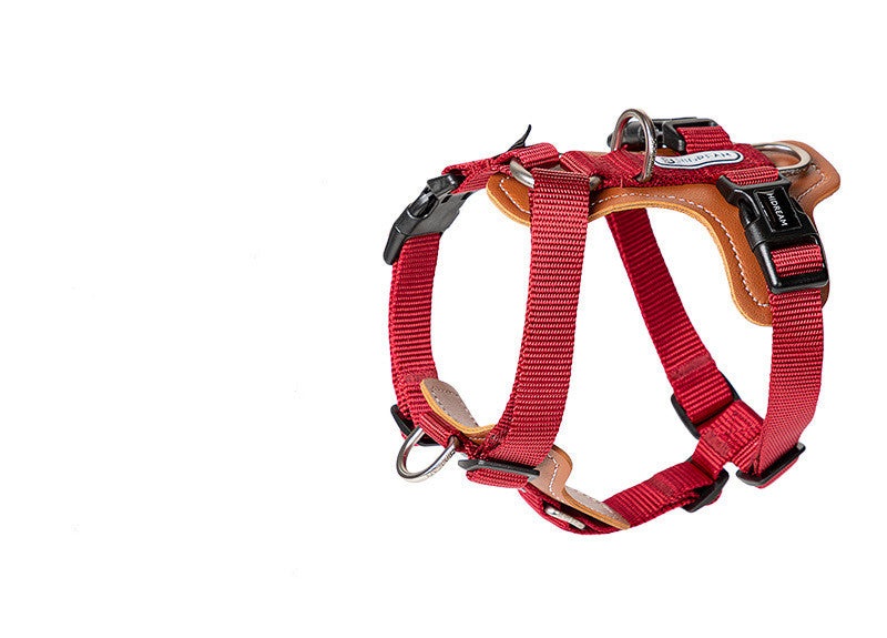 Dog Leash Explosion-Proof Puppies Type