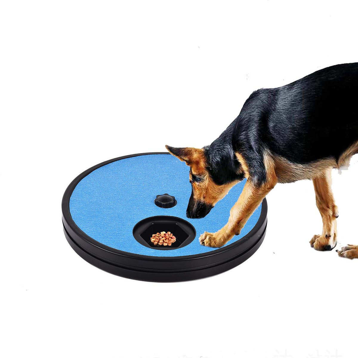 Pet Slow Food Chew Toy