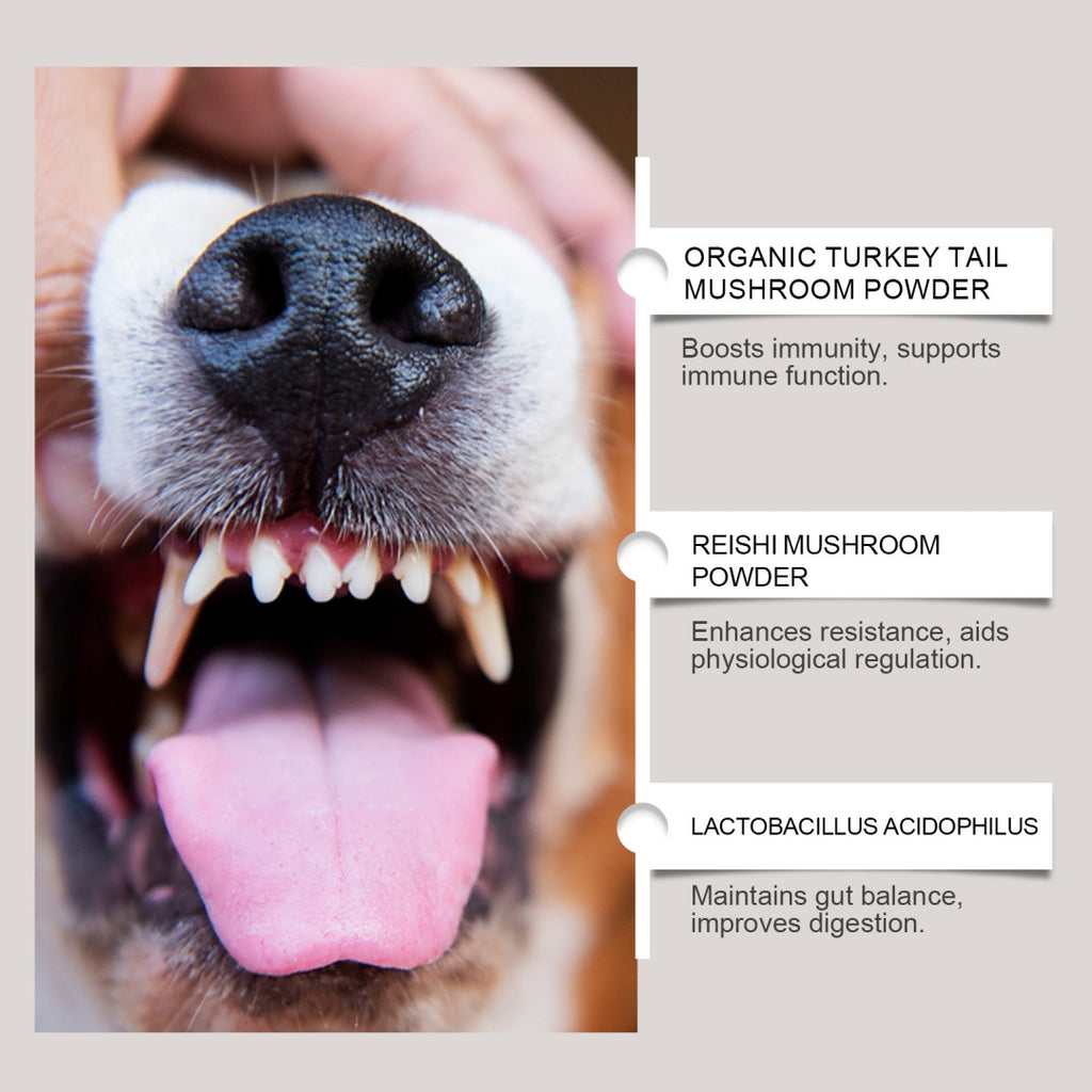 Dog Dental Care Powder Supplement
