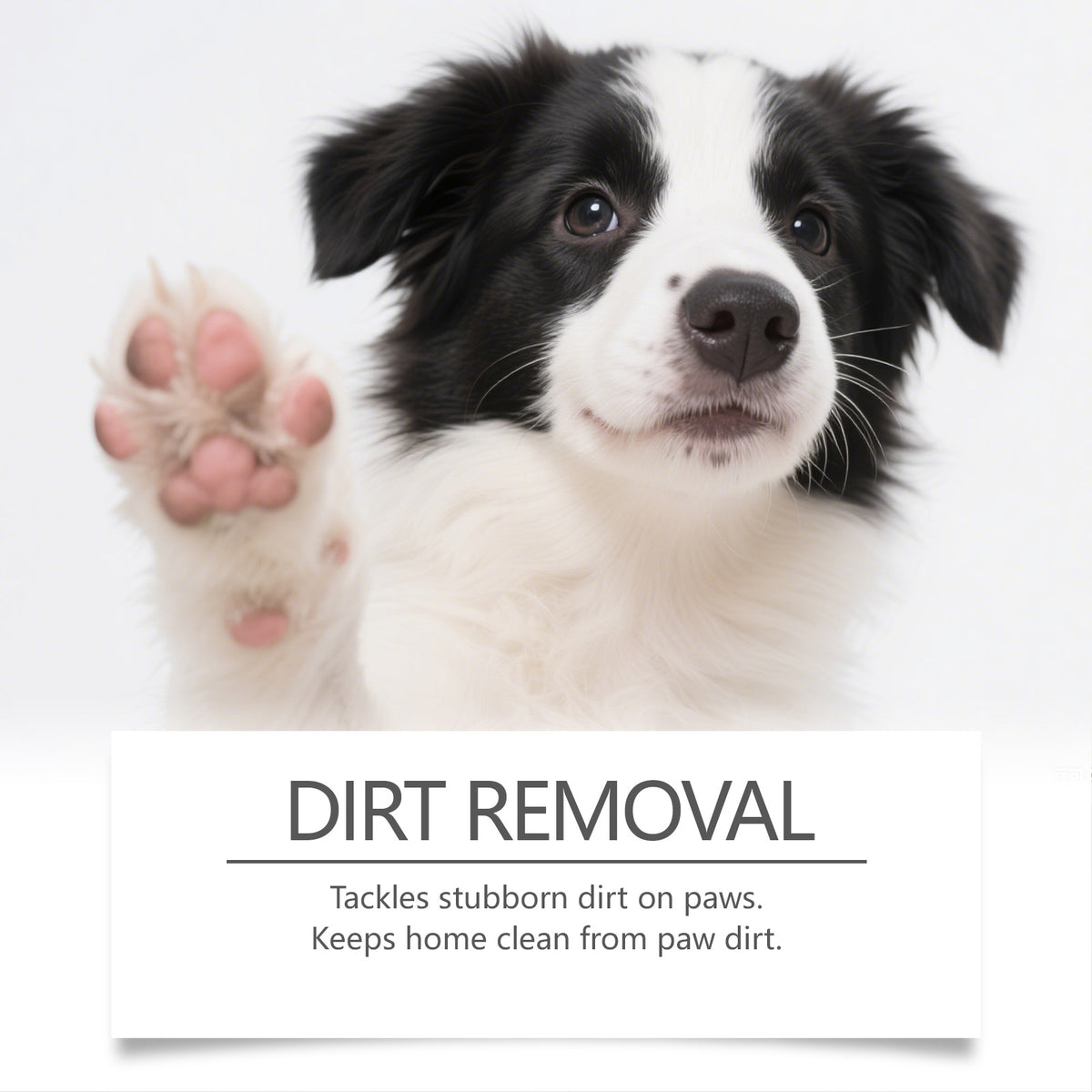 Pet Paw Cleansing Foam