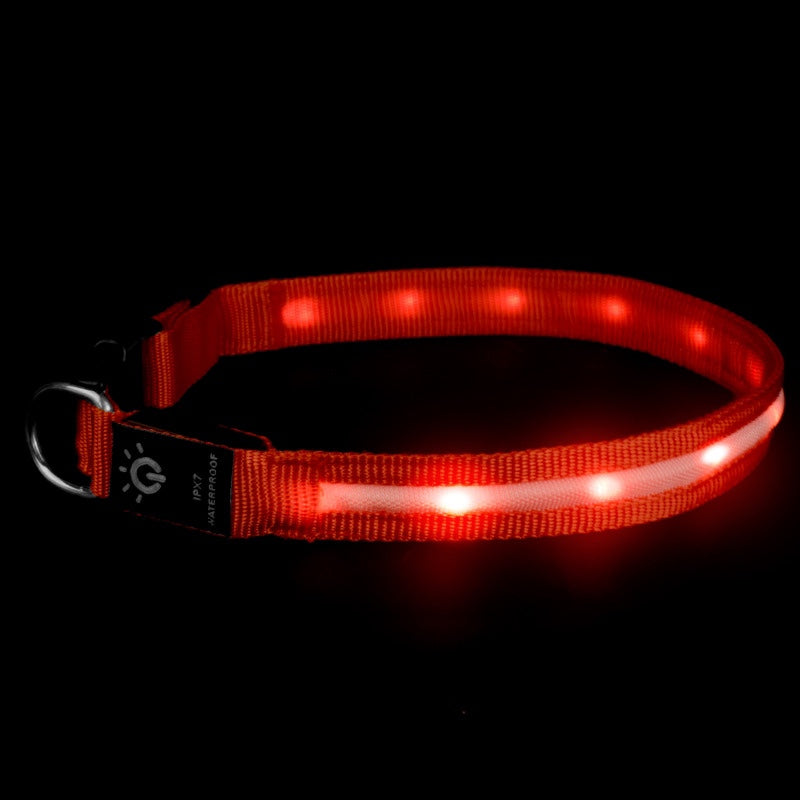LED Waterproof Pet Collar For Night