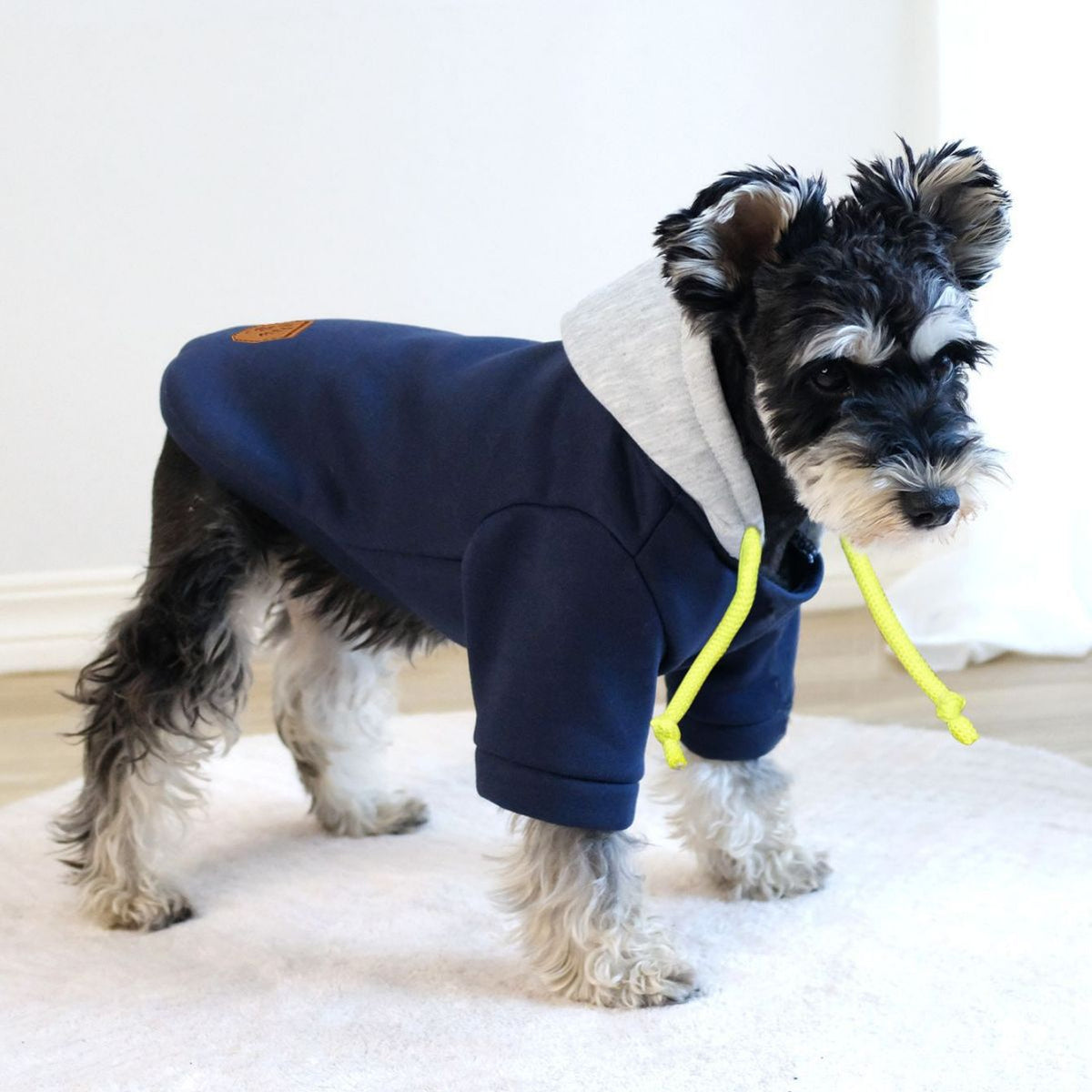 Simple Hooded Pet Pullover With Contrast Color