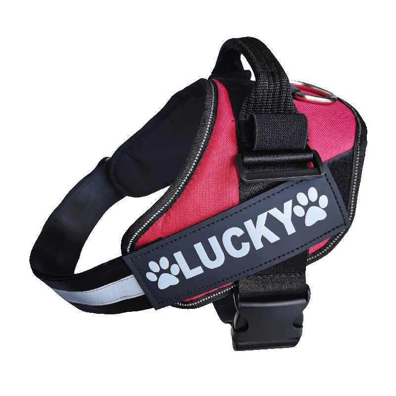 Do Not Pet Dog Chest Strap