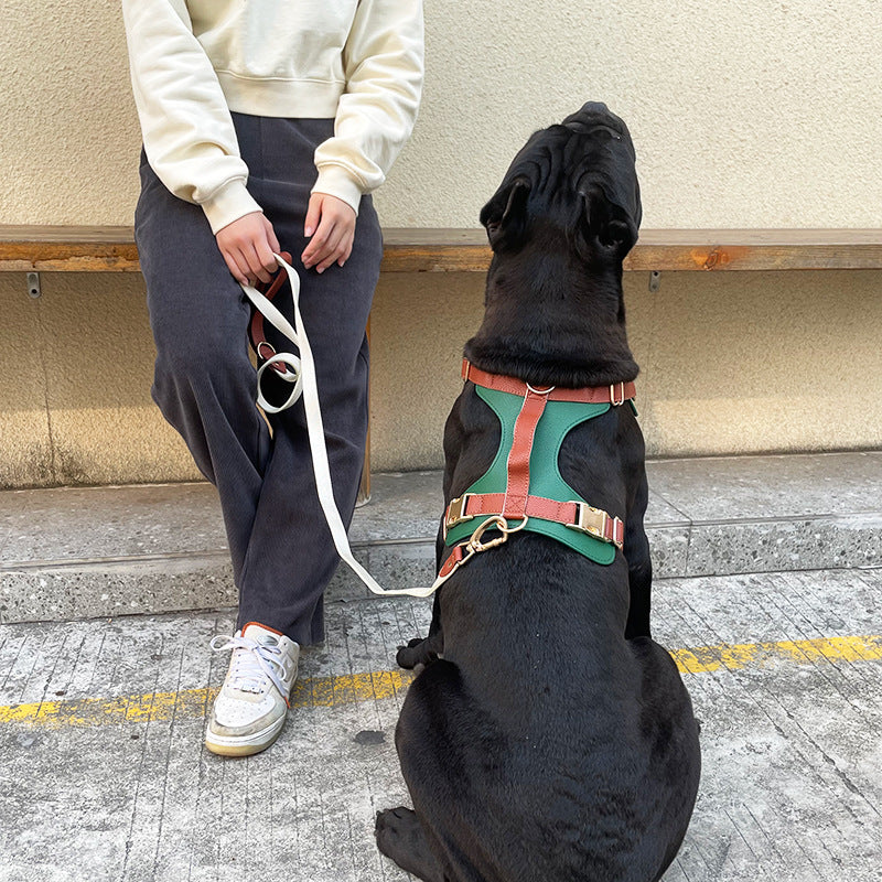Leather Dog Harness And Leash