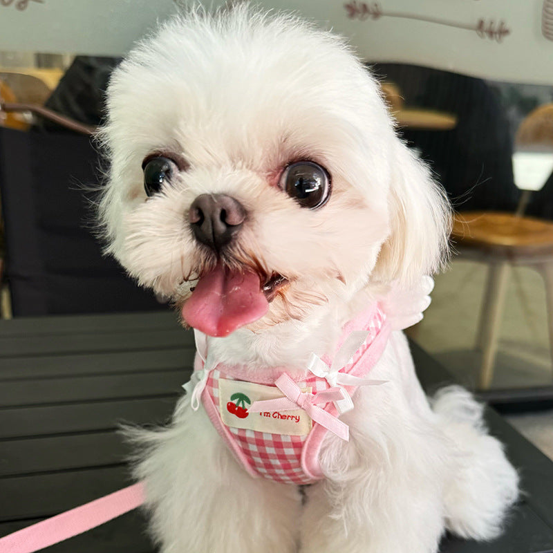 Small Dog Chest-Back With Hand-Holding Rope