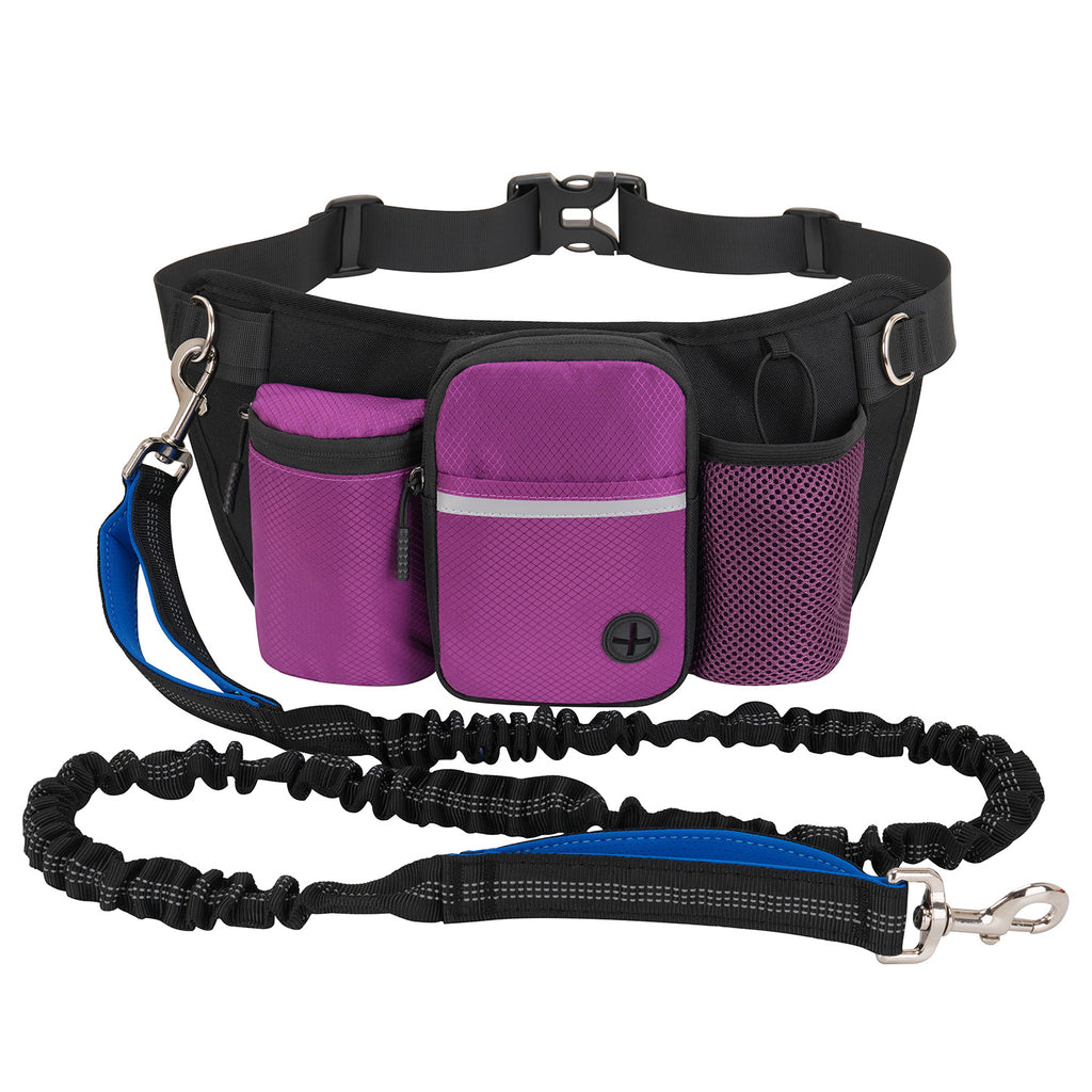 Outdoor Sports Waist Bag Pet Treat Pouch