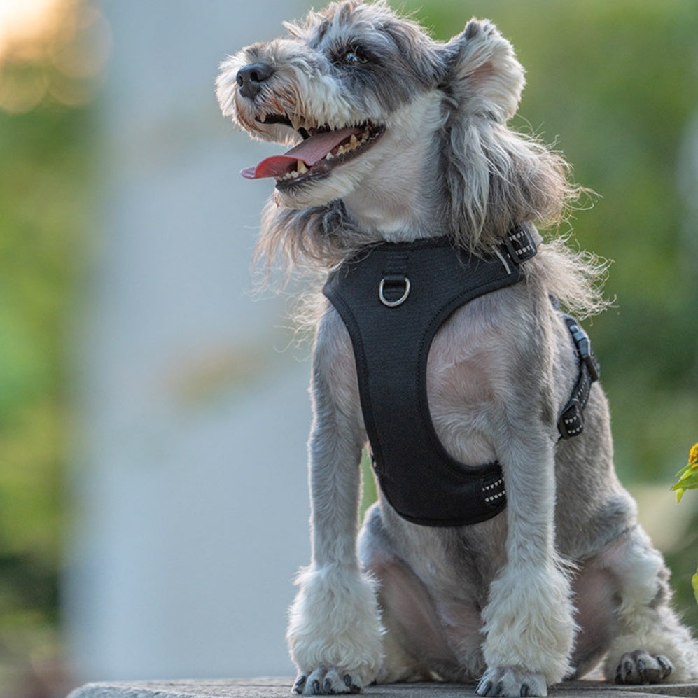 Explosion-Proof Padded Dog Harness