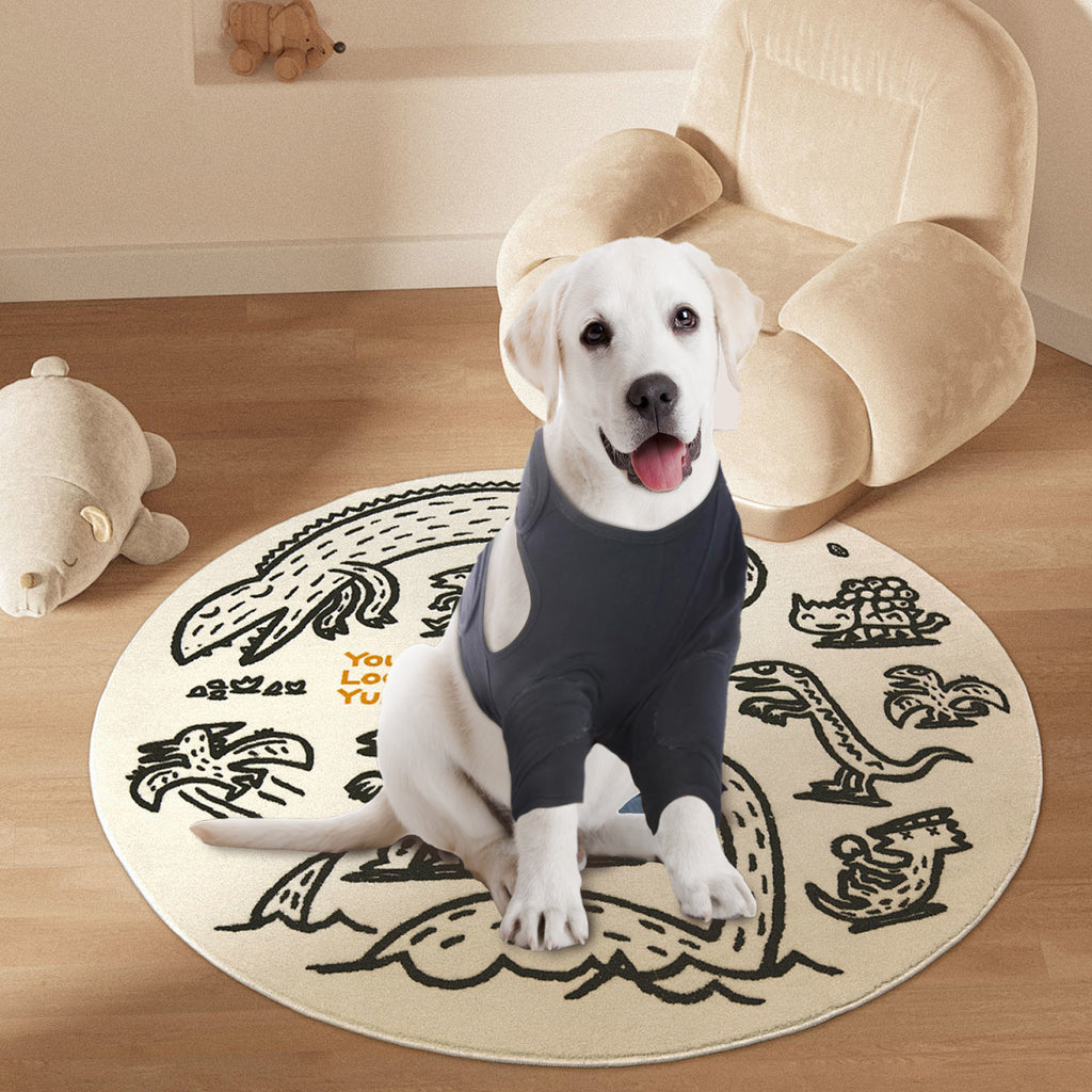Dog Front Leg Double Protective Covers