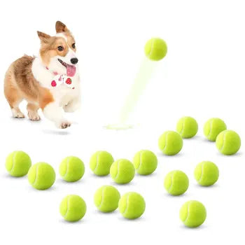 Pet Toy Dog Bite-Resistant Level Tennis
