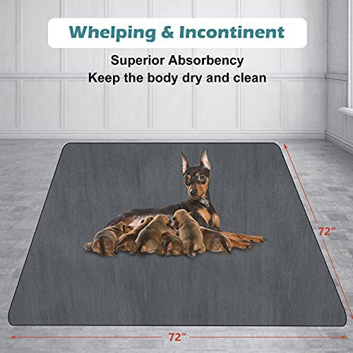 Pet Special Multi-Layer Water Absorption Anti-Seepage Cooling Anti-Dirty Waterproof Mattress Cover
