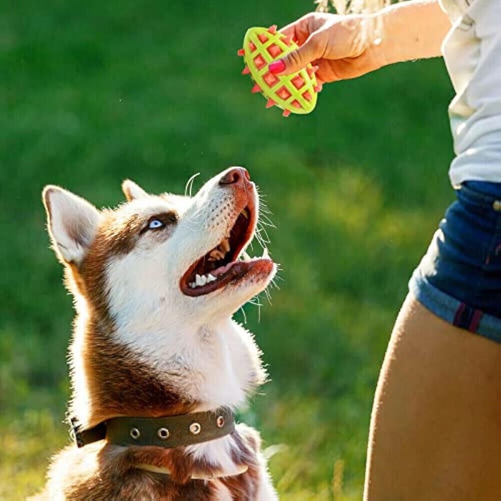 Pet Sounding Dog Teether Ball Indestructible Dog Toys For Aggressive Chewers Cleans Dogs Teeth Dog Throwing Game Anxiety Relief Interactive