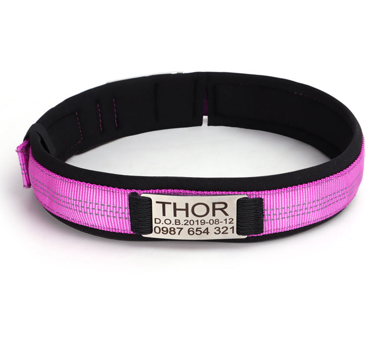 Engraved Anti-Loss Dog Collar