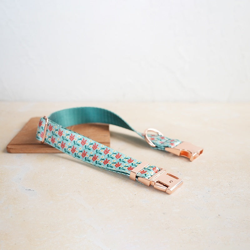 Soft Dog Collar and Leash Set