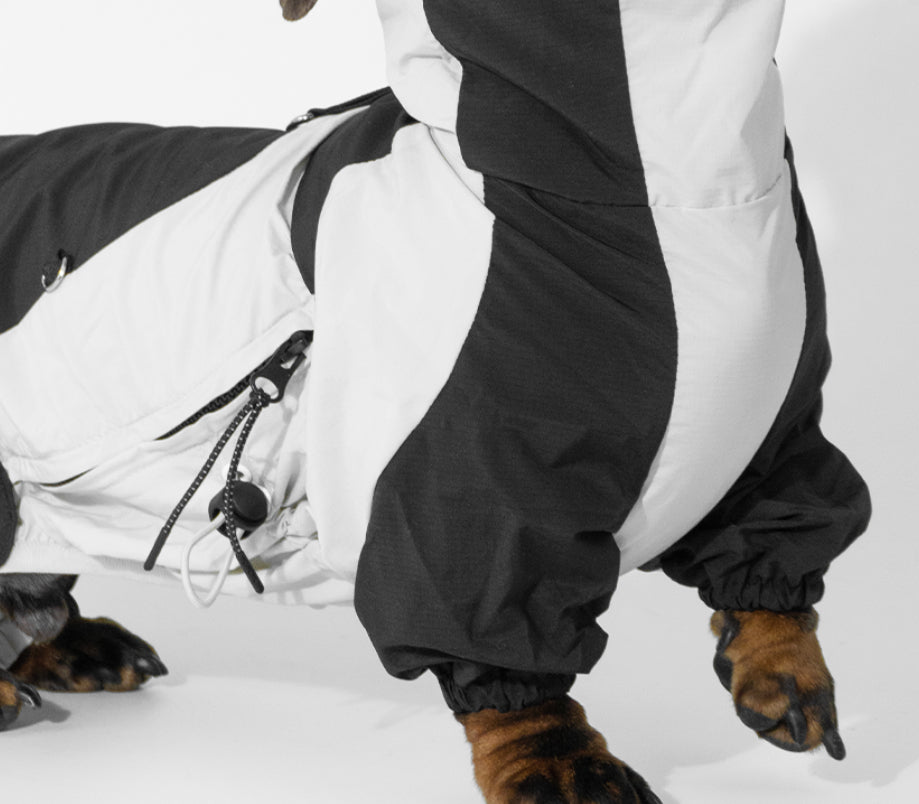 Winter Color Matching Pet Clothes