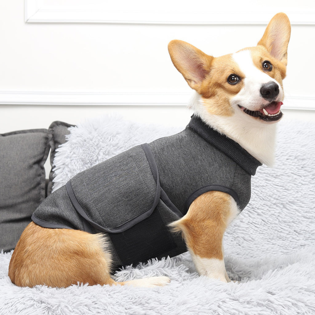 Dark Grey Polyester Pet Double Jacket