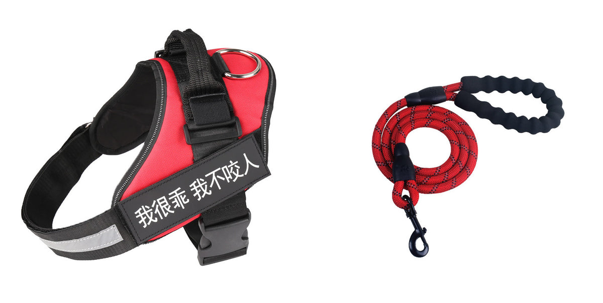 Simple Dog Leash And Chest Strap Set