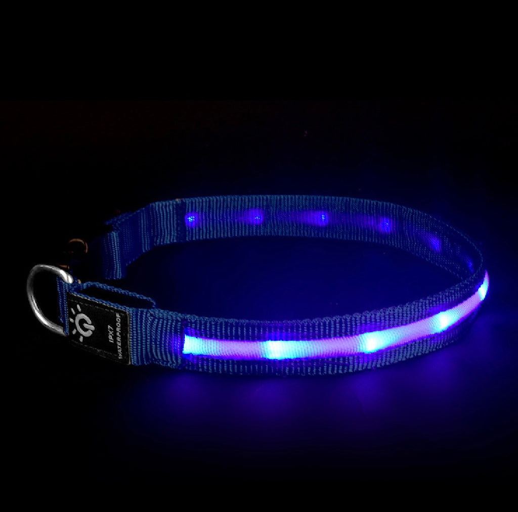 LED Waterproof Pet Collar For Night