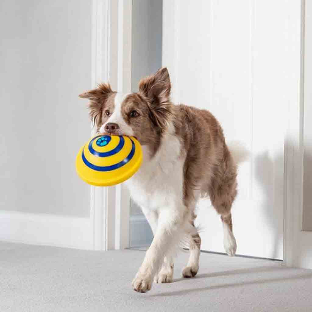 Soft Indoor Dog Sound Toy