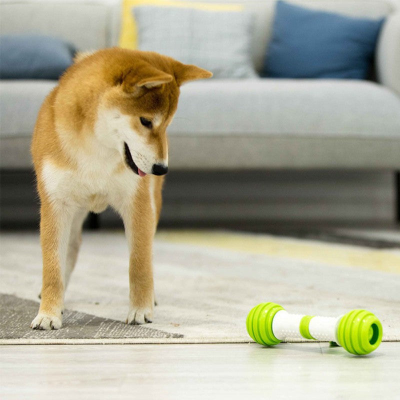 Happy Bone Electric Automatic Dog Toy Bone