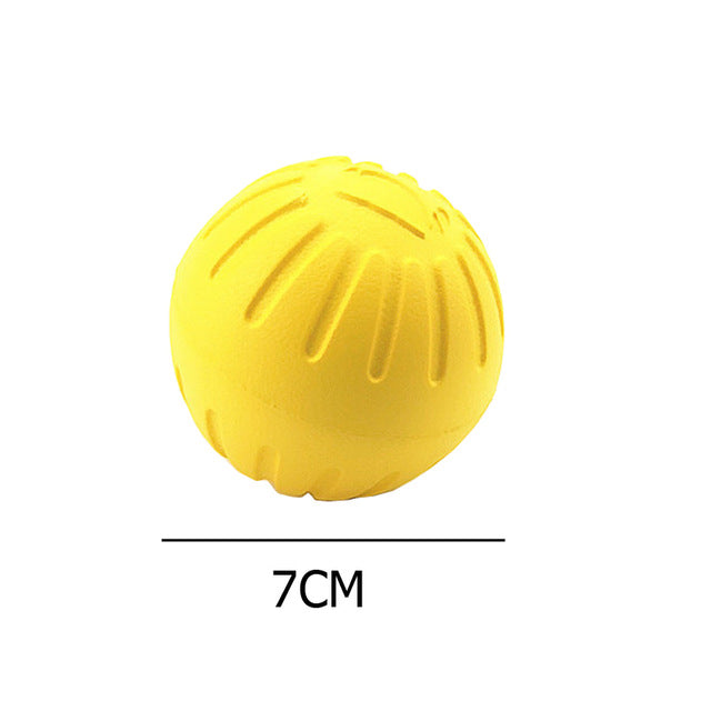 EVA Pet Training Toy