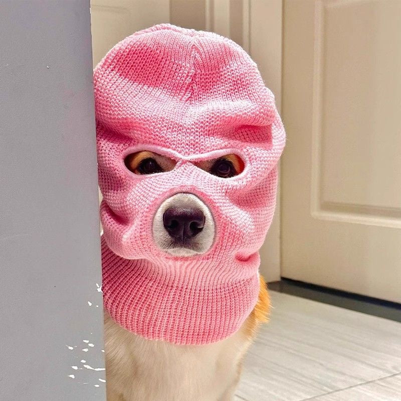 Corgi Puppy Dog Headgear Hat
