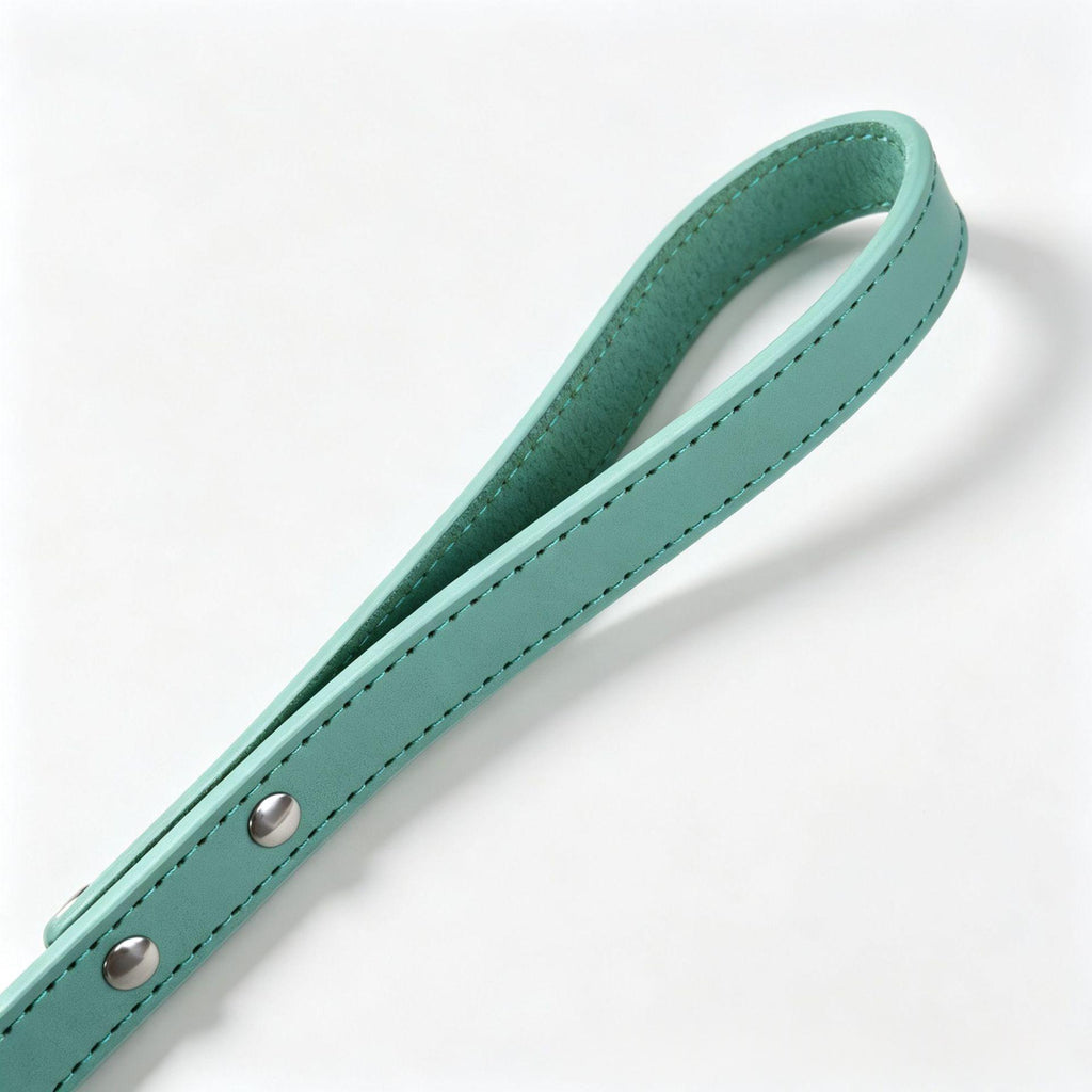 Leather Pet Leash in Multiple Colors
