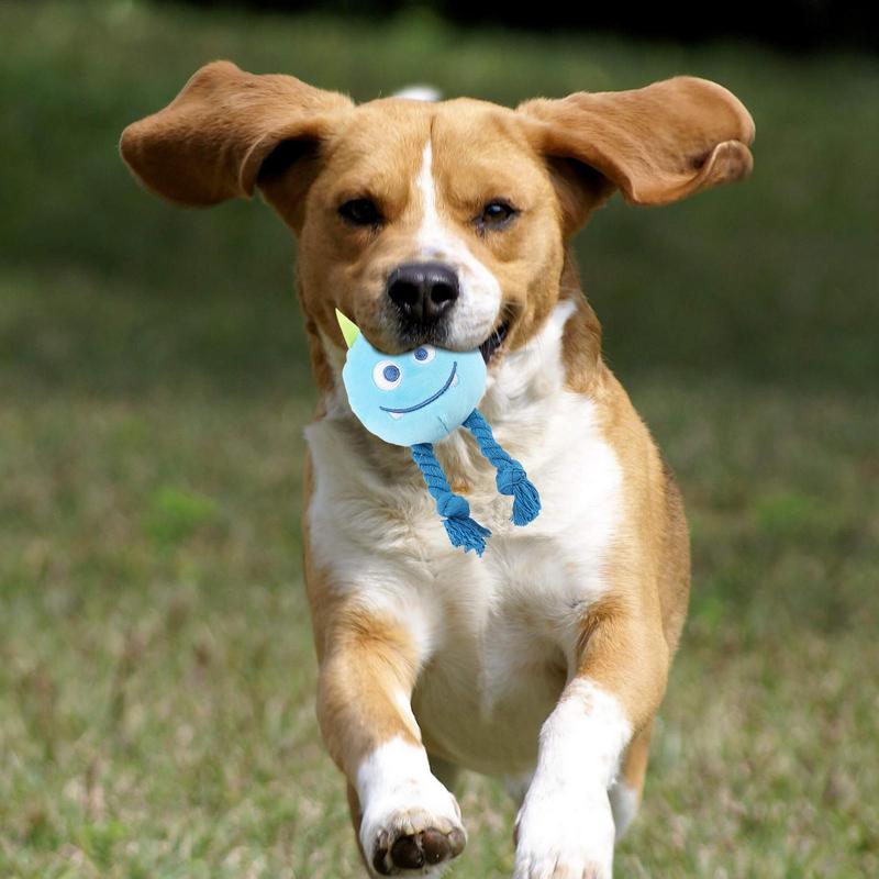 Squeaky Toys For Dogs Strong Knot Design Cartoon Chewable Teething Toys Decorative Multifunctional Relaxing Supplies Dog