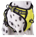 Chest Strap For Medium And Large Dogs