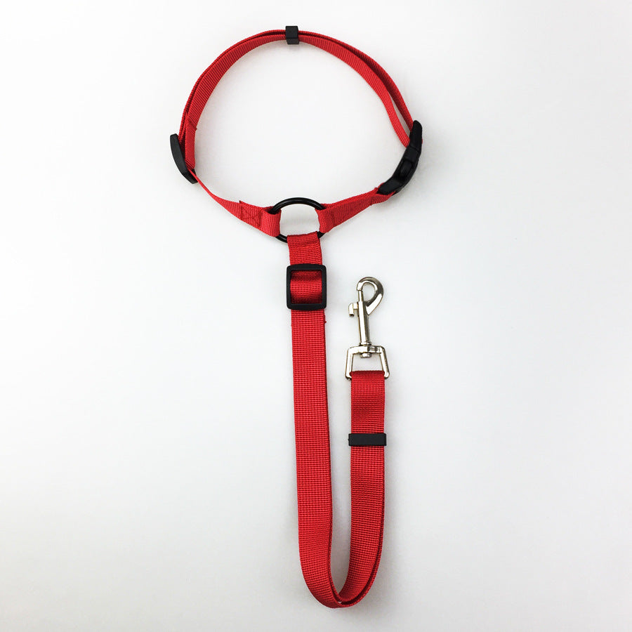 Nylon Pet Safety Leash
