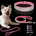 Hot Dog Collar