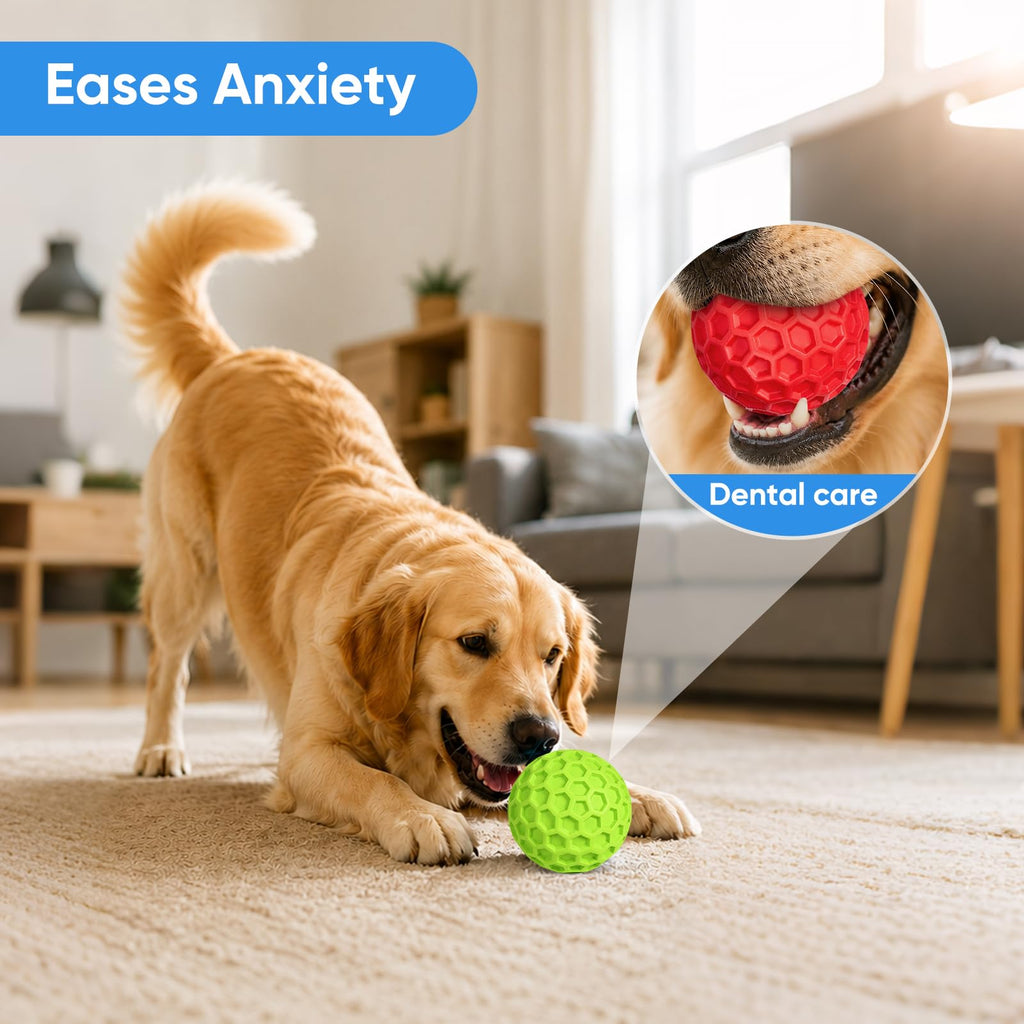 Squeaky Rubber Dog Balls 2-Pack