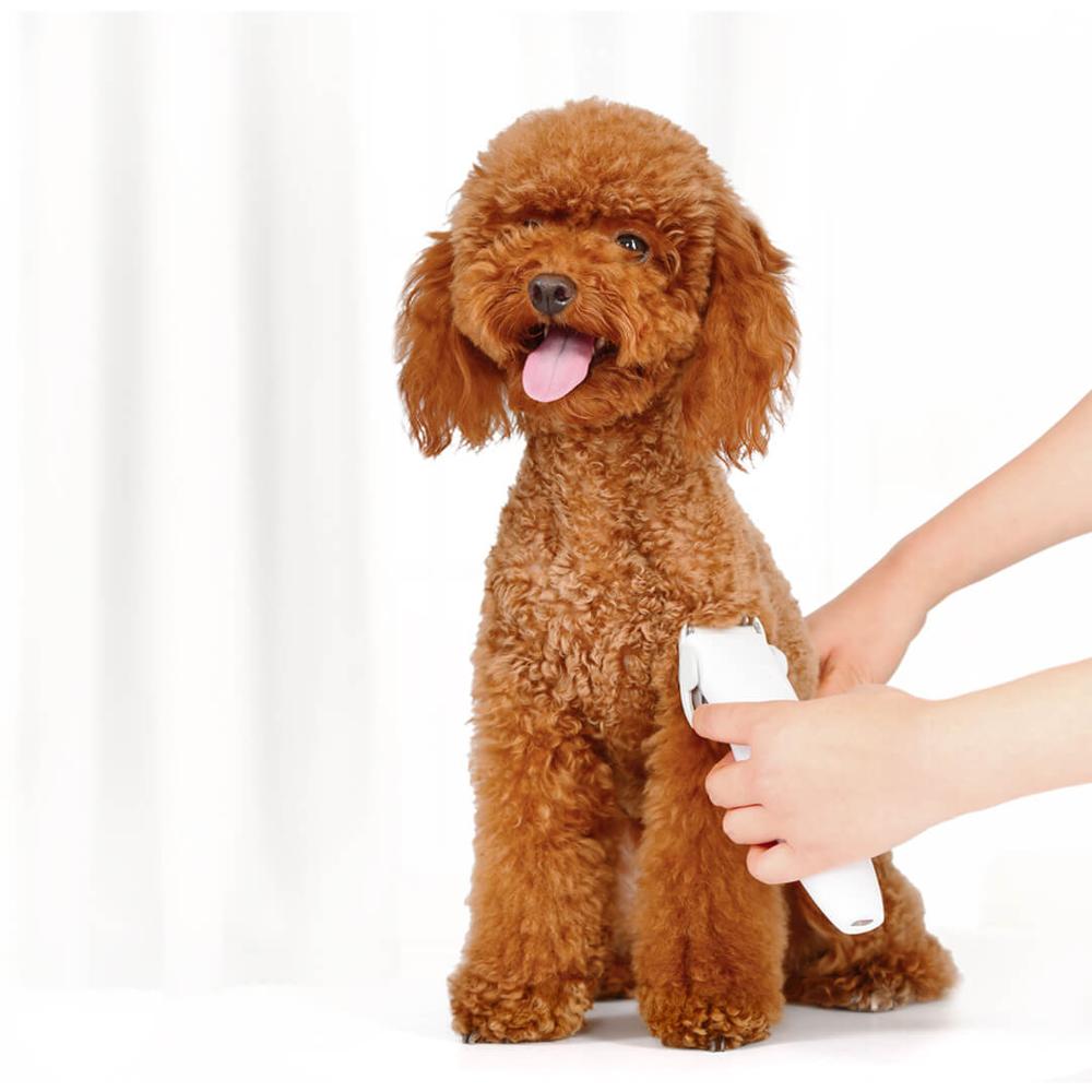 Pet Grooming Shaver