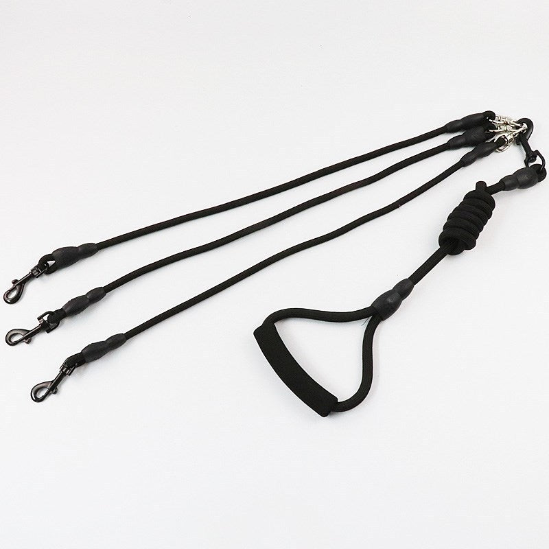 One Leash for Three Dogs