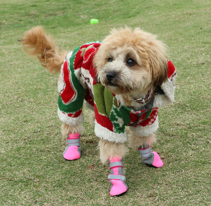 Dog Walking Shoes Set