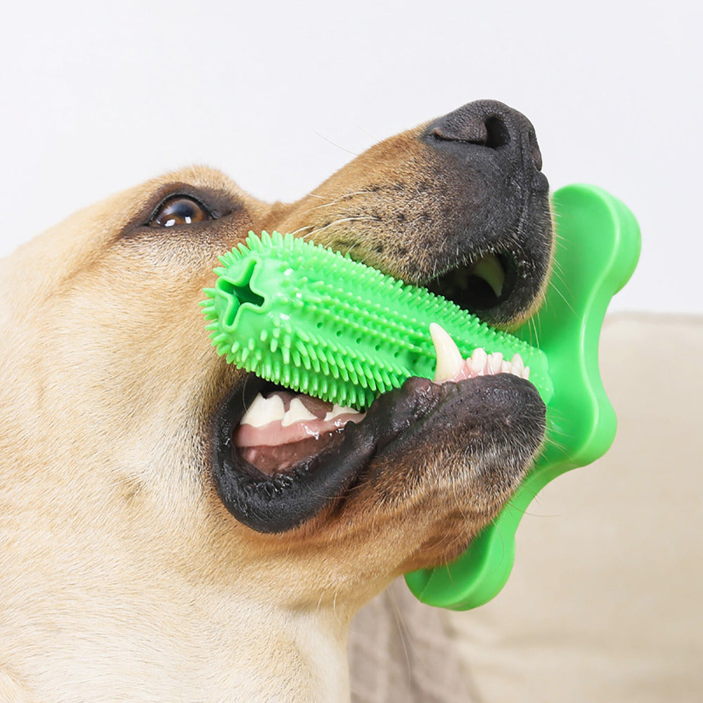 Suction Cup Dog Chew Toothbrush Toy