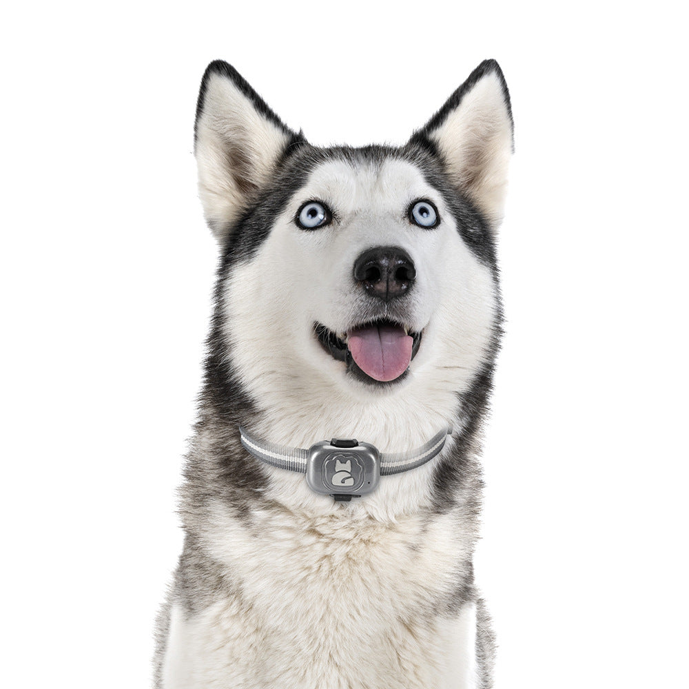 Pet Gf-07 Locator Anti Loss